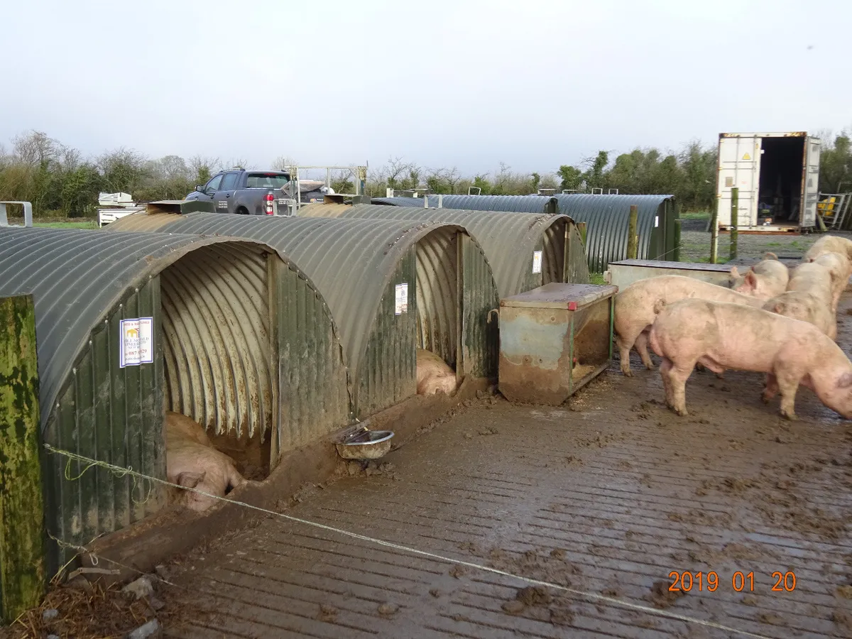 NEW IRISH PIG GOATS SHEEP SHED SHELTER ARKS