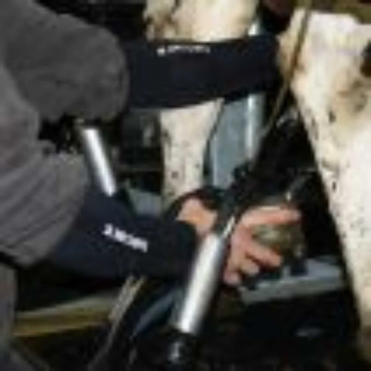 Dry Cuff Milking Sleeves - Image 4