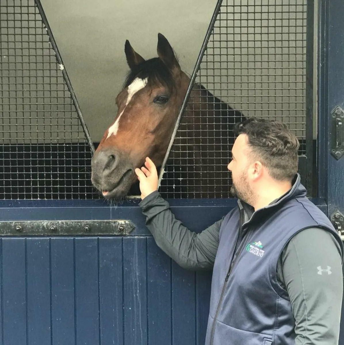 Do You Want To Work With Horses? - Image 3