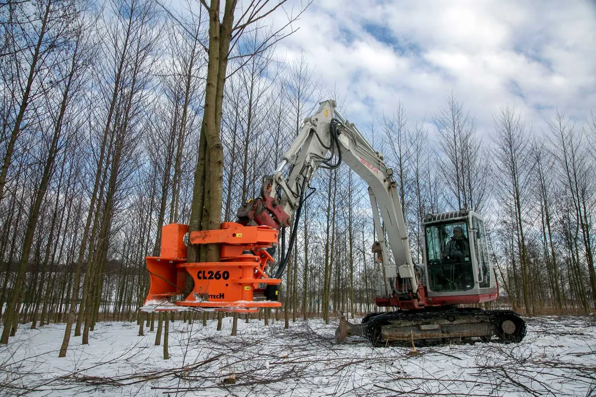 Tree Shear