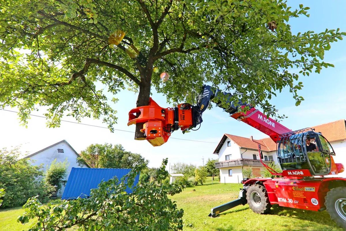 Tree Shear - Image 4