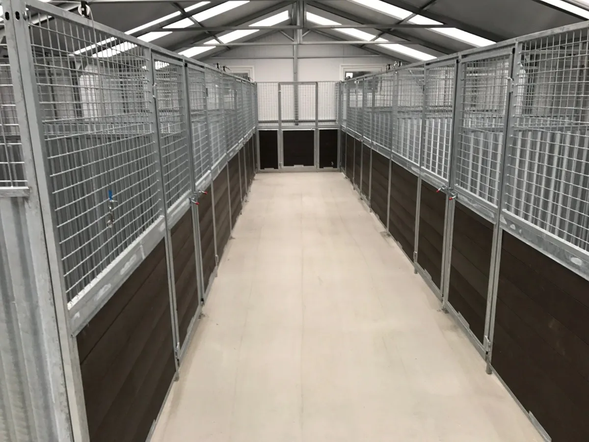 Dog Enclosures and Dog House