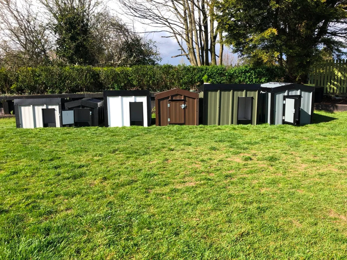 Dog Enclosures and Dog House - Image 4