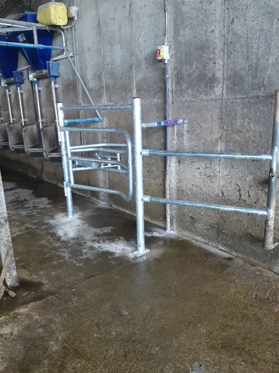 Rear Milking Parlour Air Gates - Image 3