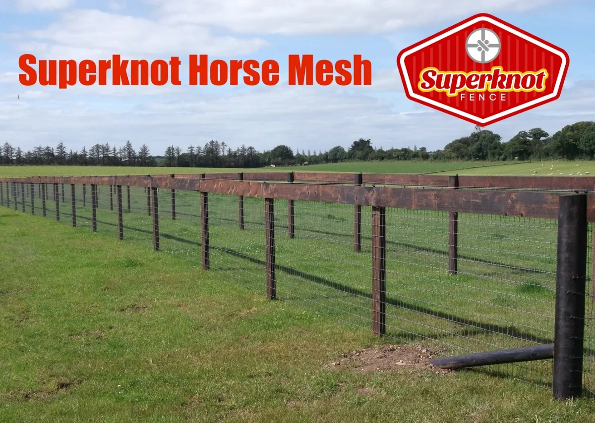 Superknot Horse Mesh - Image 1