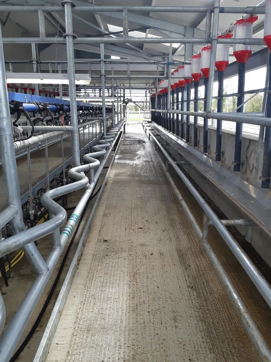 Stainless Steel Trough and Brest Rail - Image 2