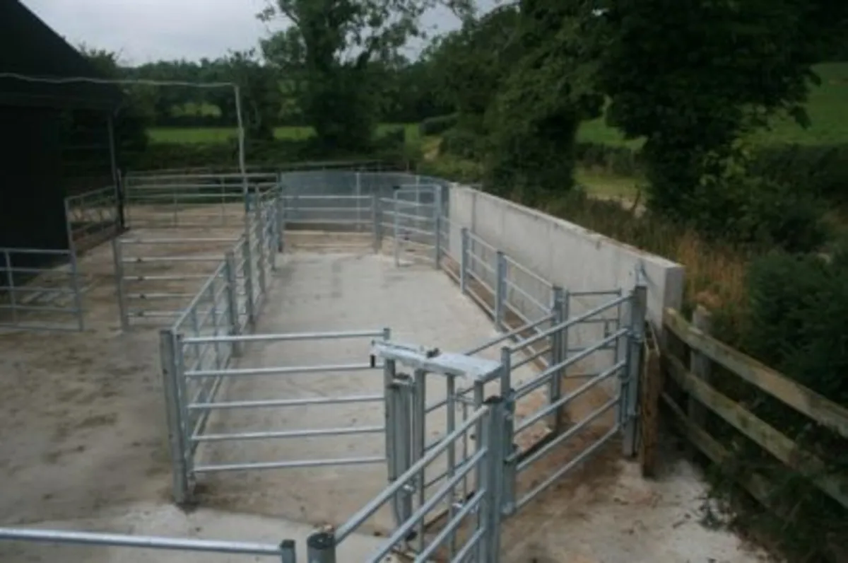 Crash barriers and box beam. Cattle penning - Image 4