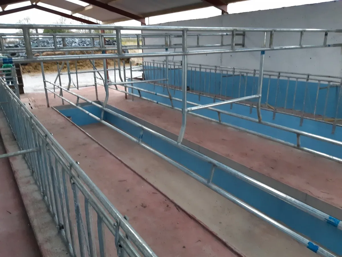 Milking Parlour Locking Stalls - Image 2