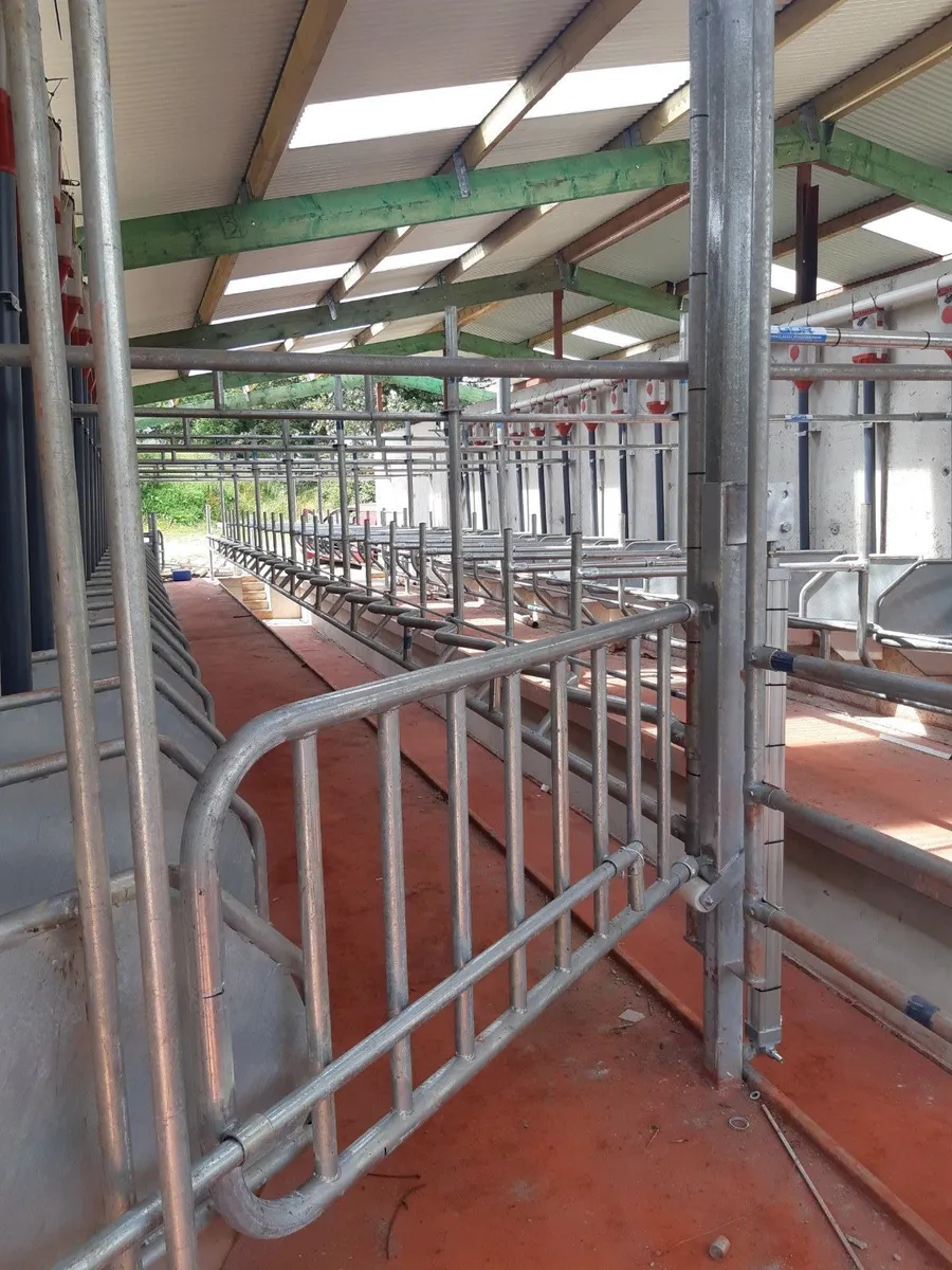 Front Milking Parlour Air Gates