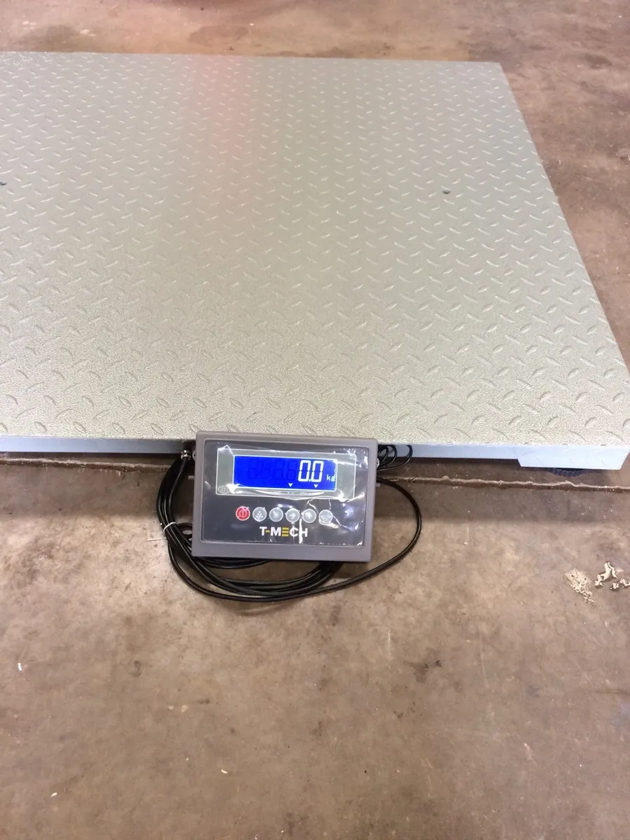 Cattle scales /Beam scales/livestock weighing - Image 2