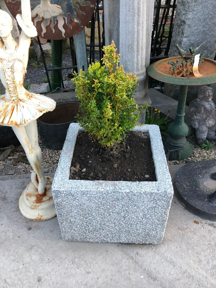 Granite Garden planters - Image 3