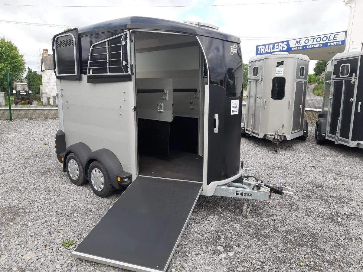 IFOR WILLIAMS HBX 506 & 511 HORSEBOXES - Image 3