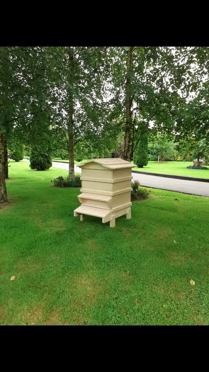 Bee hives and bees