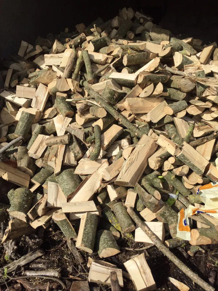 Ash beech and oak firewood for sale - Image 3