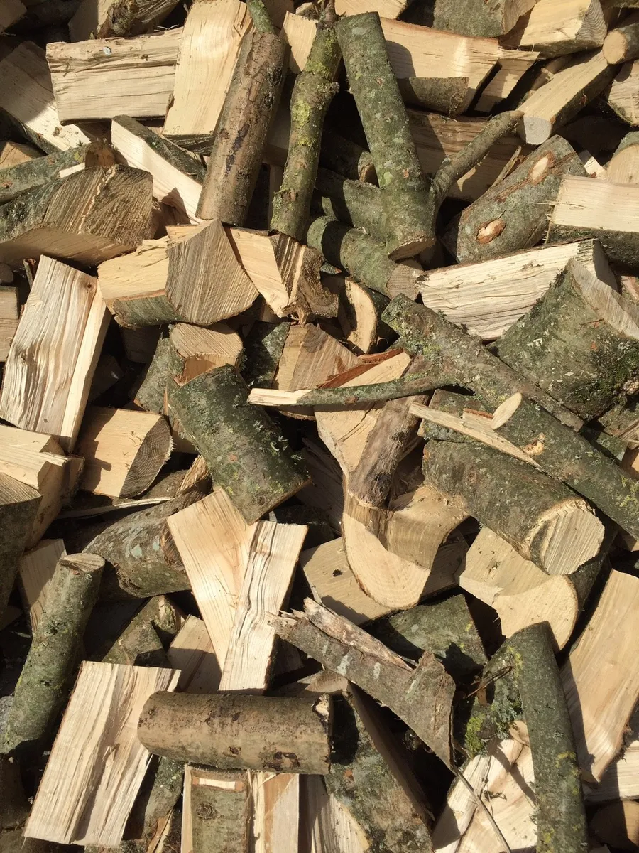 Ash beech and oak firewood for sale - Image 4