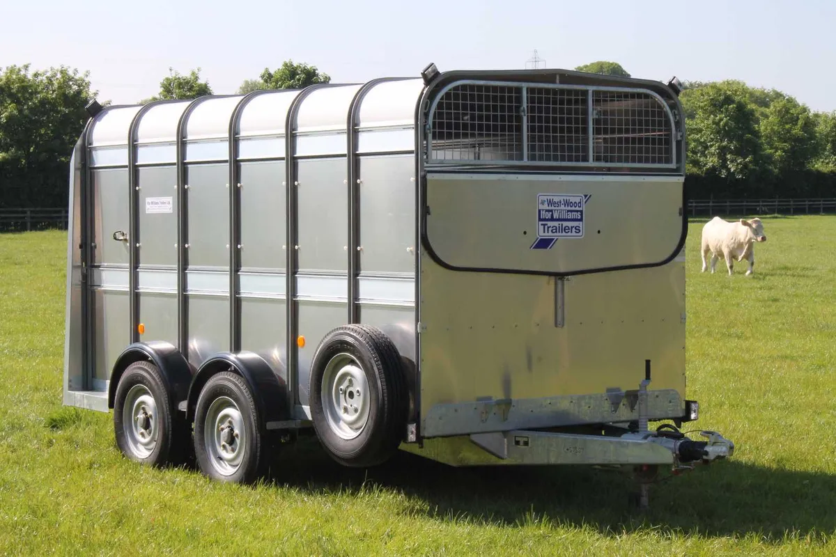 New 12' x 5'10' Ifor williams Cattle Trailer