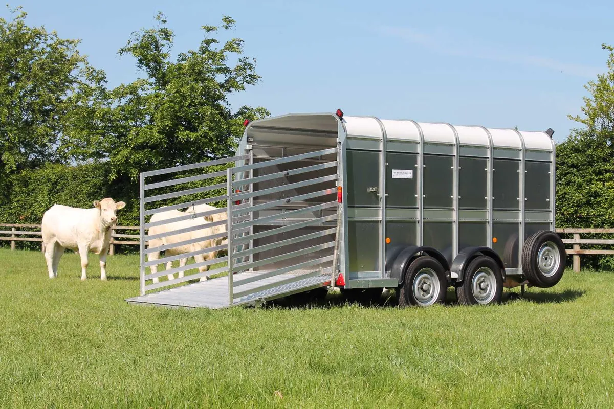 New 12' x 5'10' Ifor williams Cattle Trailer - Image 2