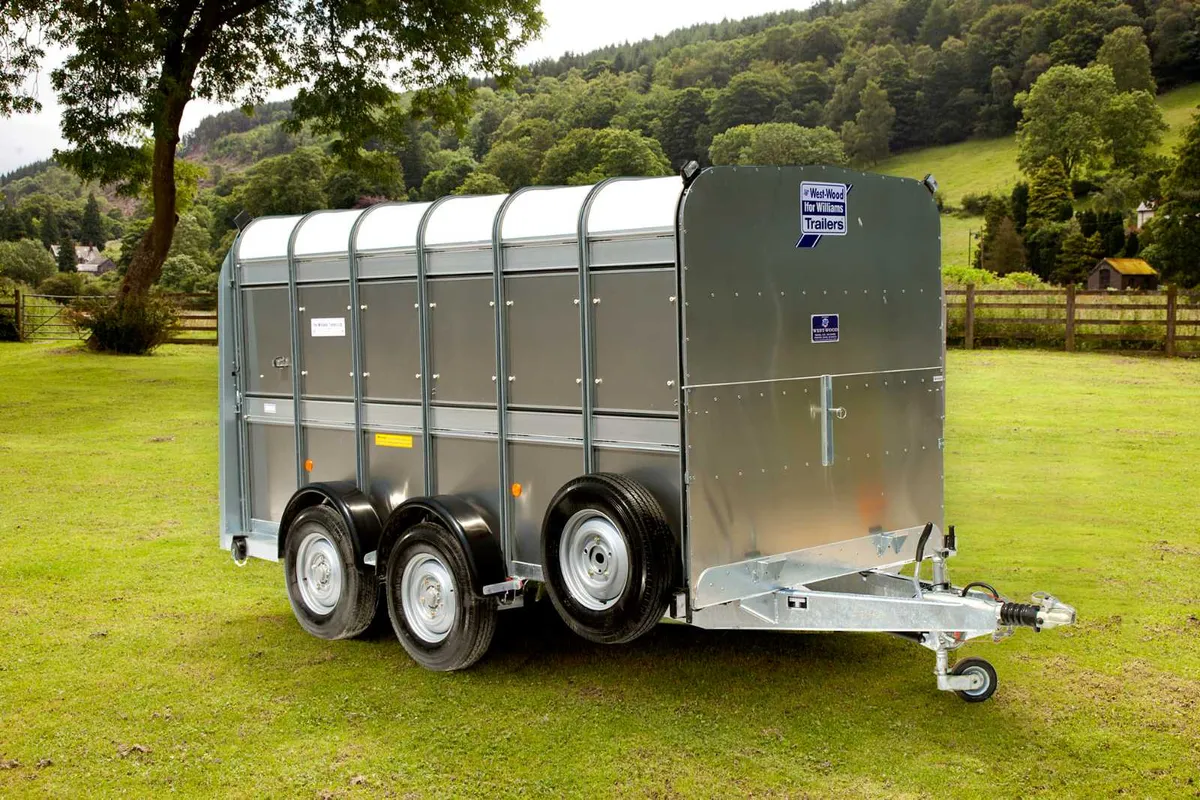 New 12' x 5'10'' Ifor Williams Cattle Trailer