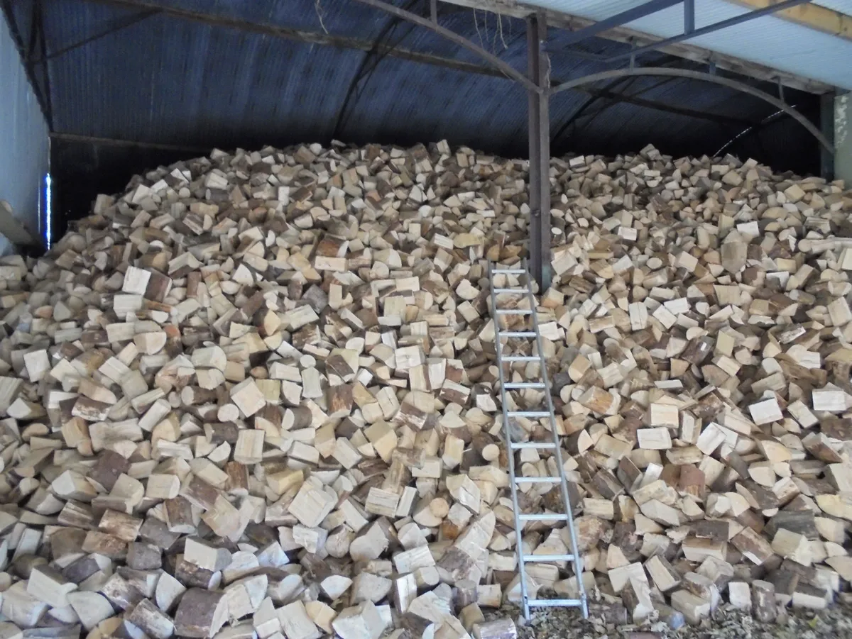 Firewood - Image 2