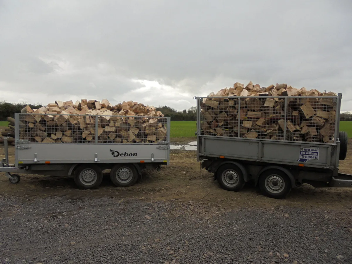 Firewood - Image 3