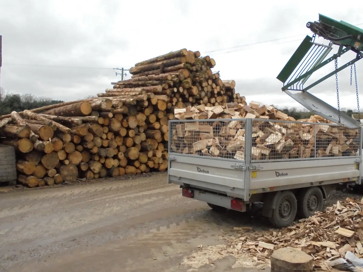 Firewood. - Image 1