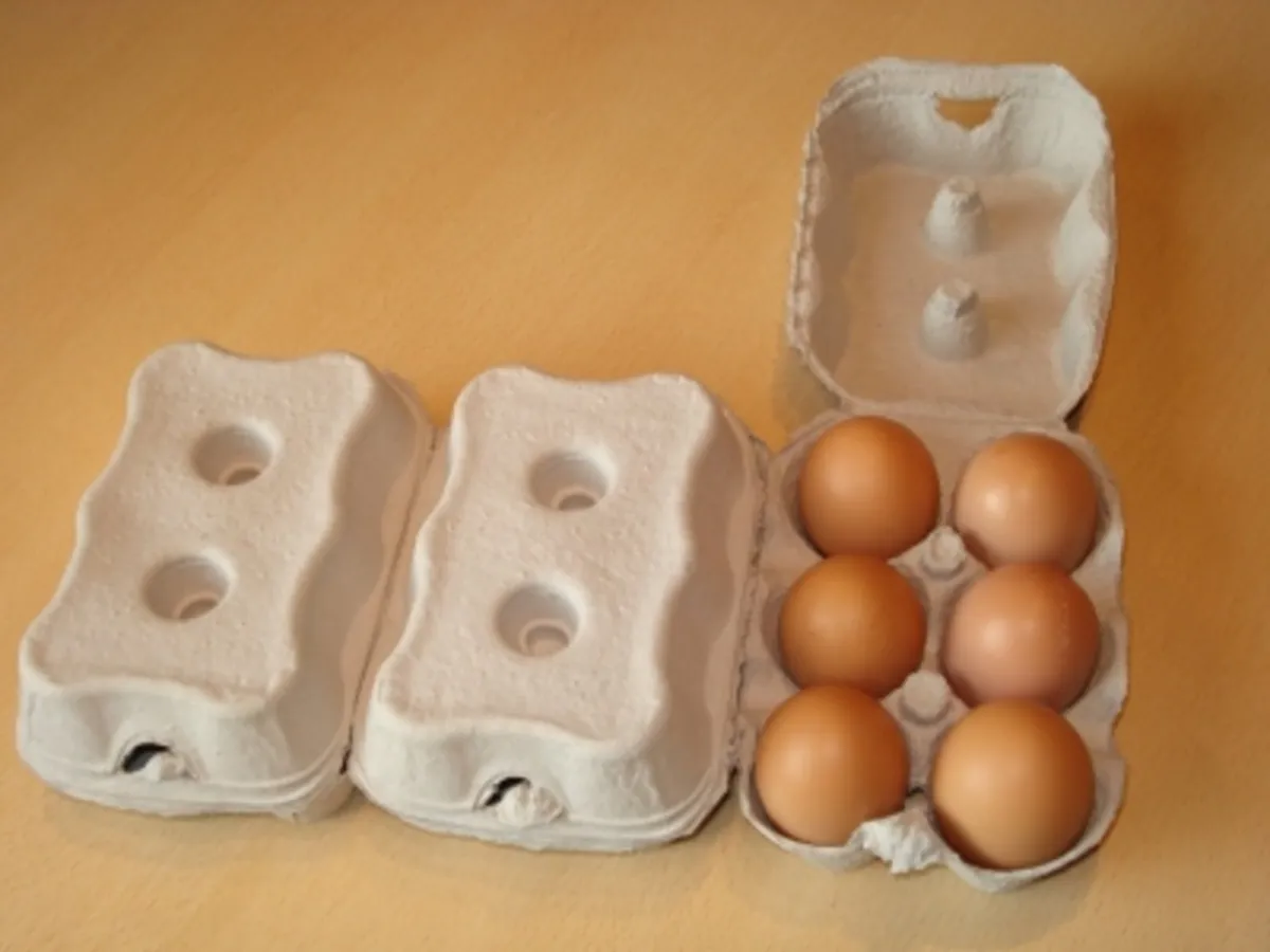 Egg Boxes for Chicken, Quail & Duck Eggs