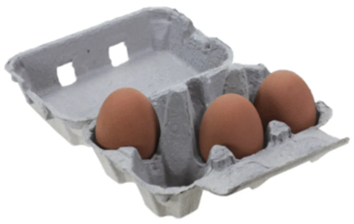 Egg Boxes for Chicken, Quail & Duck Eggs - Image 2