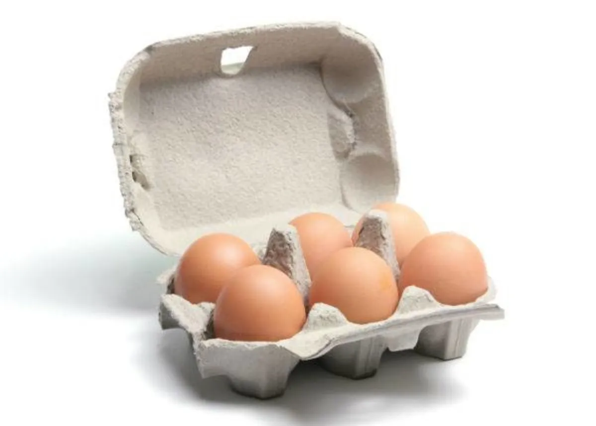 Egg Boxes for Chicken, Quail & Duck Eggs - Image 4