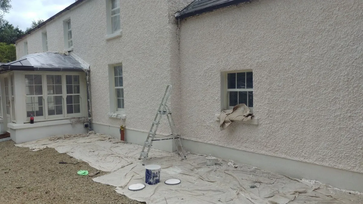Professional Painters MP Decor Dublin Painter - Image 4
