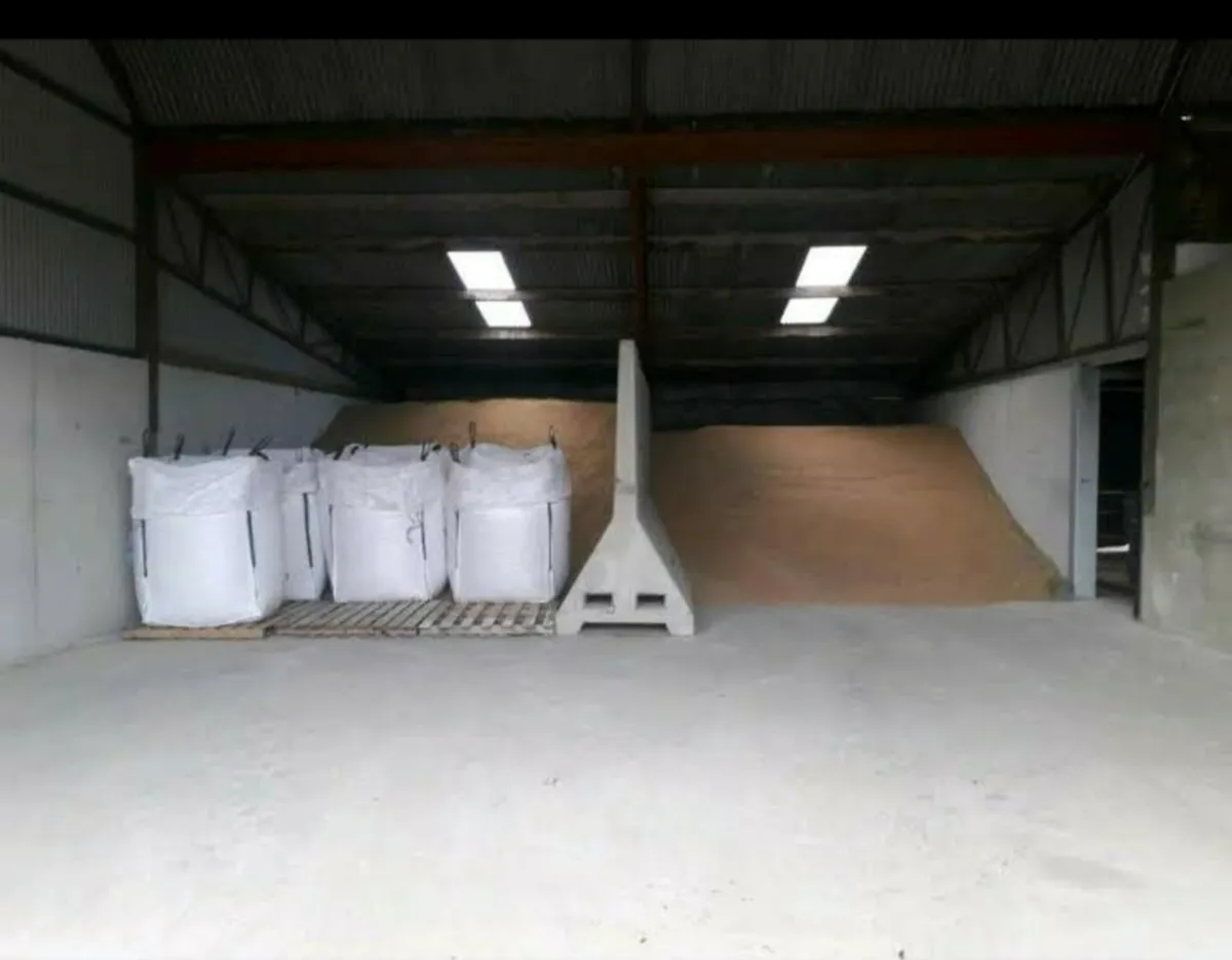 Organic Feed Grains - Image 4