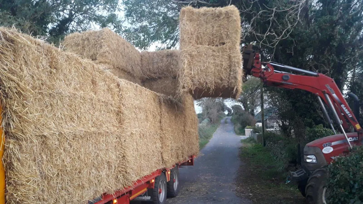 #1 for bale/potato box trailer hire. - Image 4