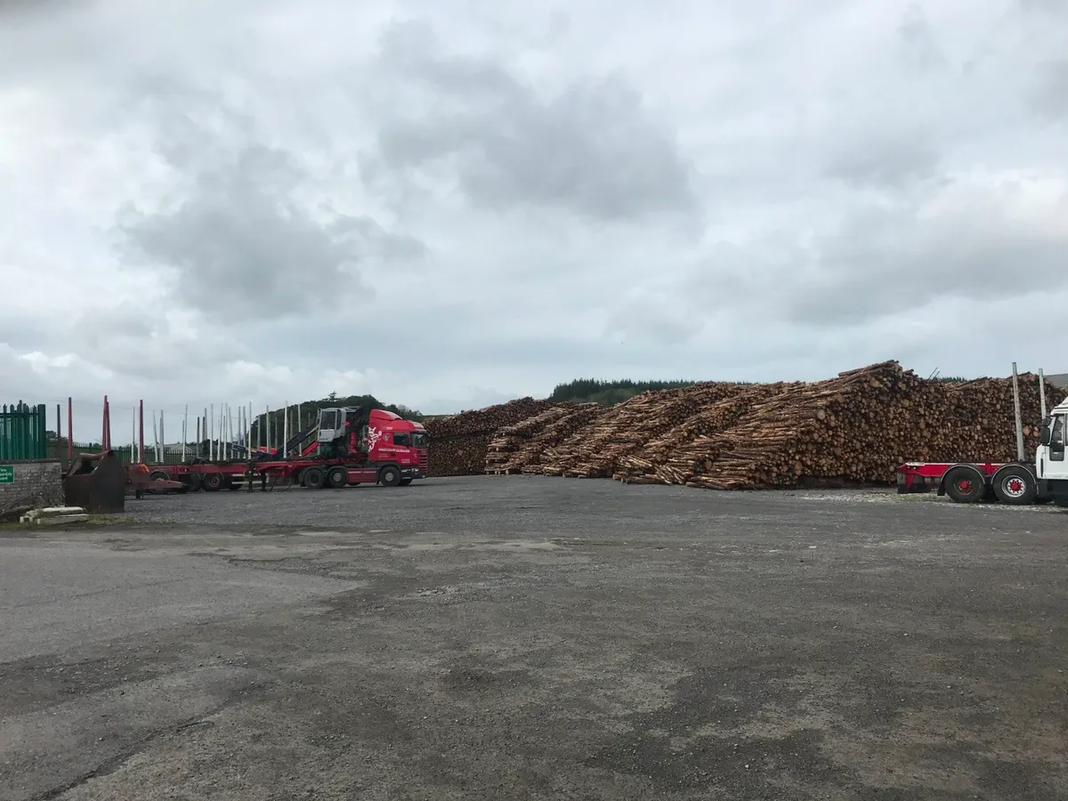 FIREWOOD --- END OF SEASON PROMOTION FREE DELIVERY - Image 2