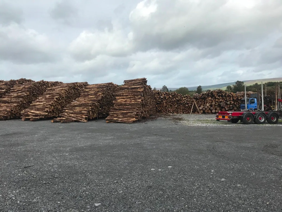 FIREWOOD --- END OF SEASON PROMOTION FREE DELIVERY - Image 3