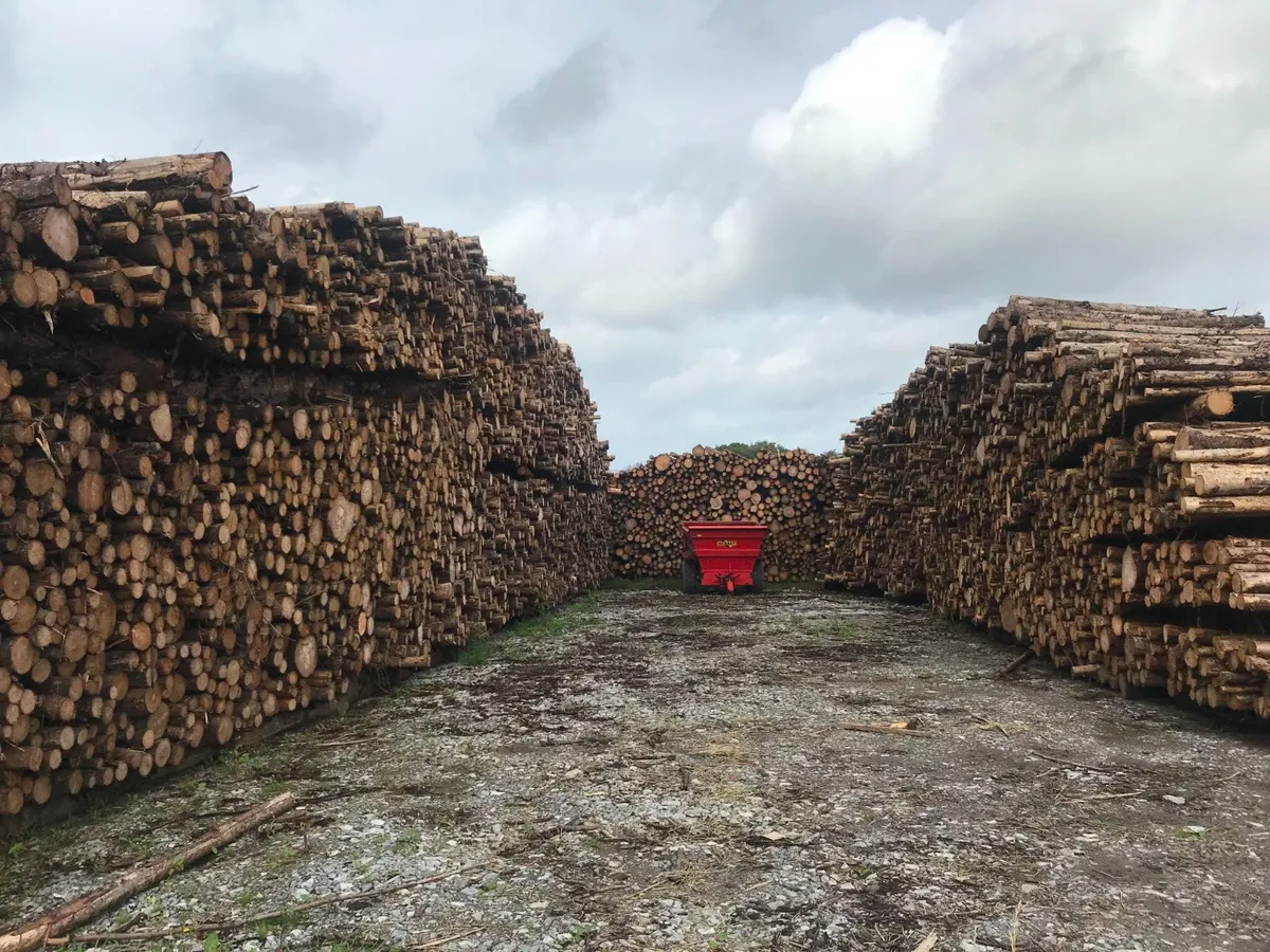 FIREWOOD --- END OF SEASON PROMOTION FREE DELIVERY - Image 4