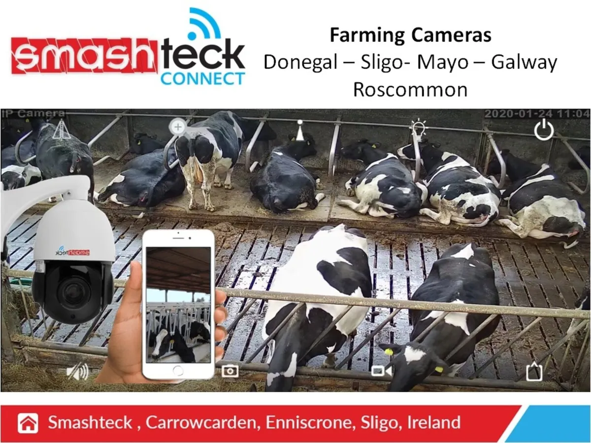 Calving / Lambing Cameras - West of Ireland