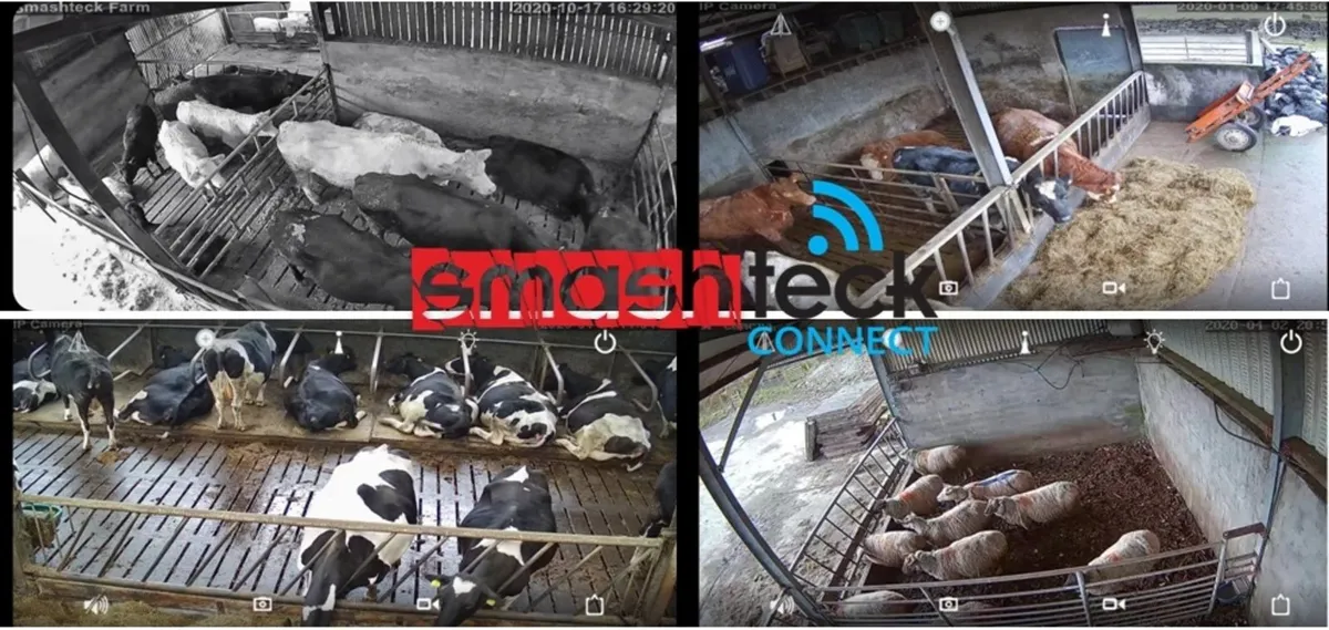 Calving, Lambing cameras from €545.00 - Image 2