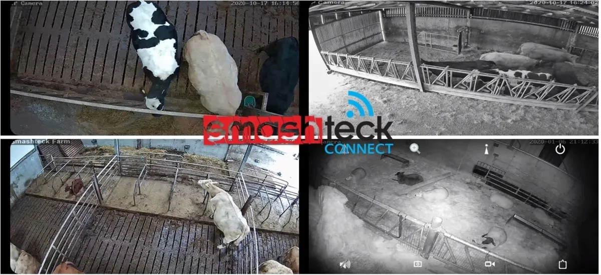 Calving, Lambing cameras from €545.00 - Image 3