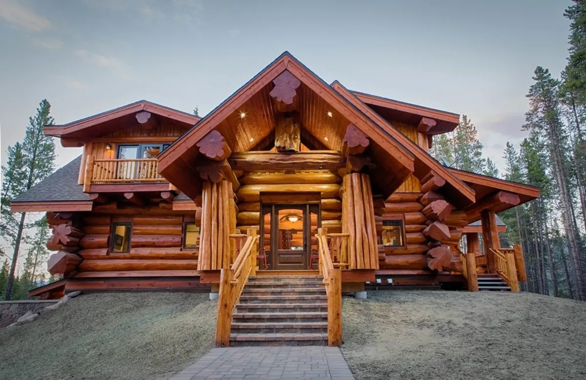 Western red cedar - Image 3