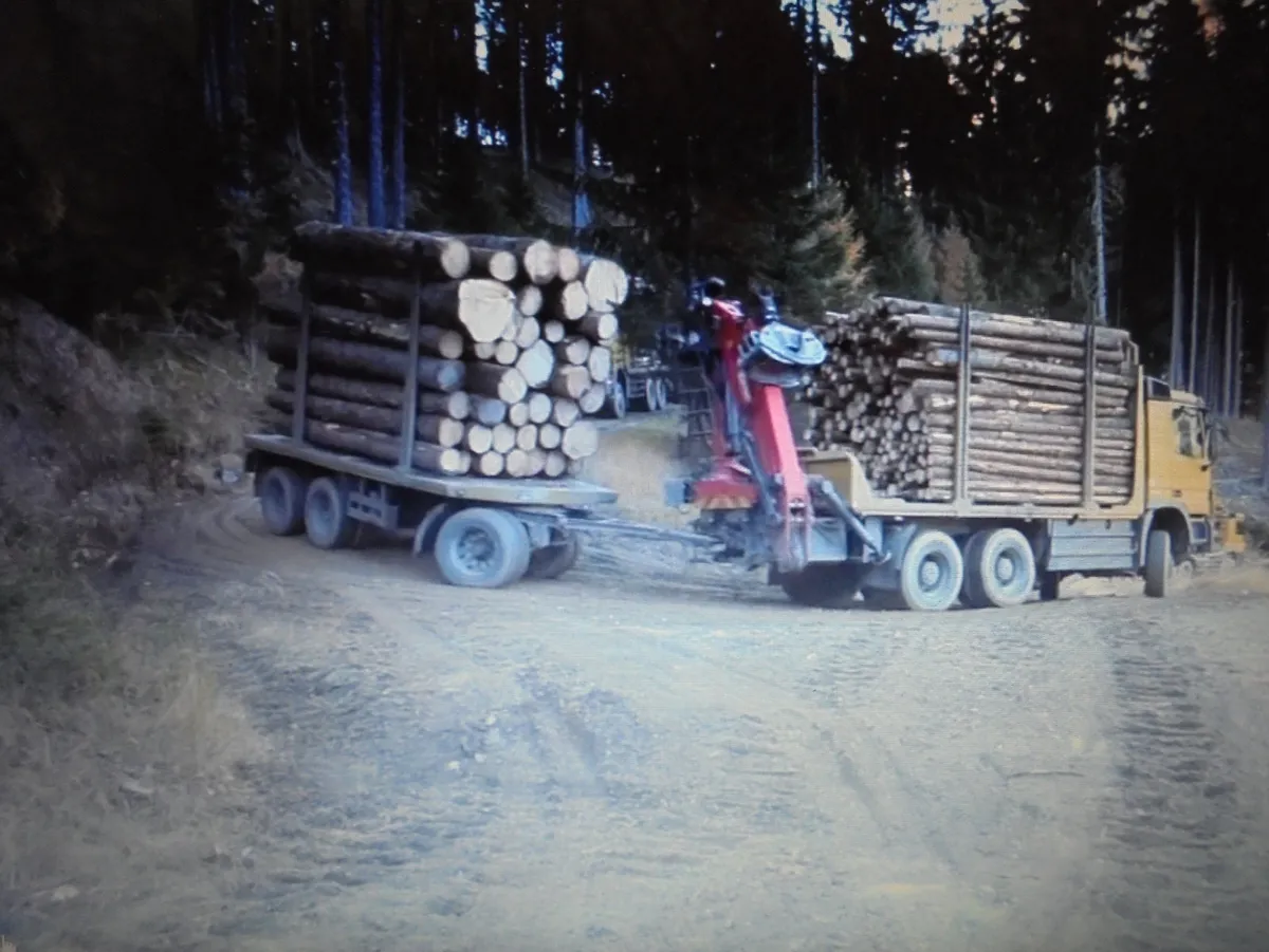 @@ FIREWOOD. - Image 4