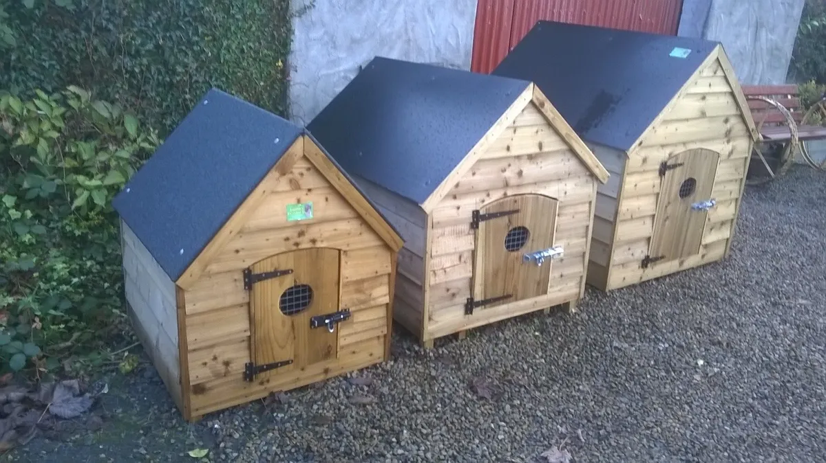 Dogs cats rabbit and hen House