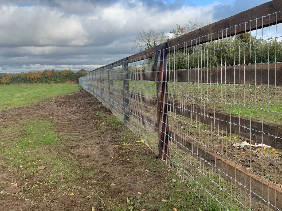 Wallace Fencing - Image 1