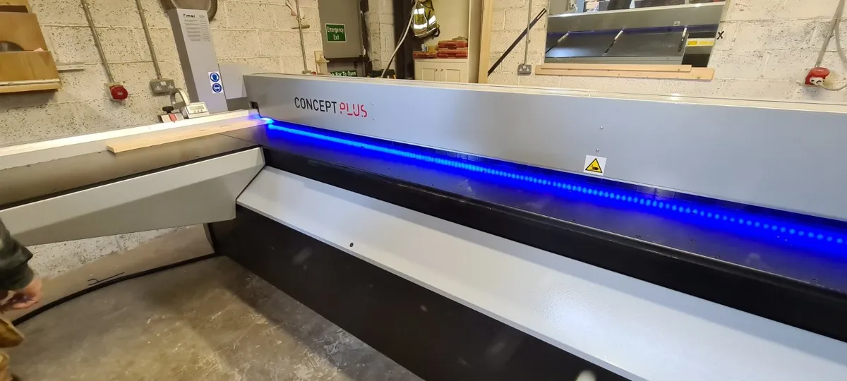 Panel Saw FIMAL Concept 350 - Image 3
