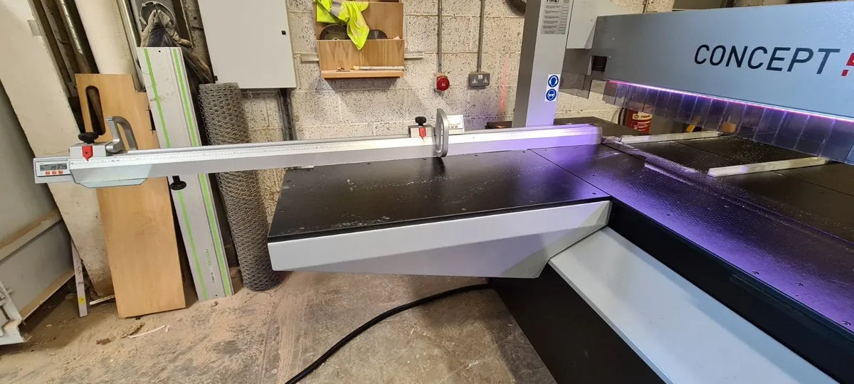 Panel Saw FIMAL Concept 350 - Image 4