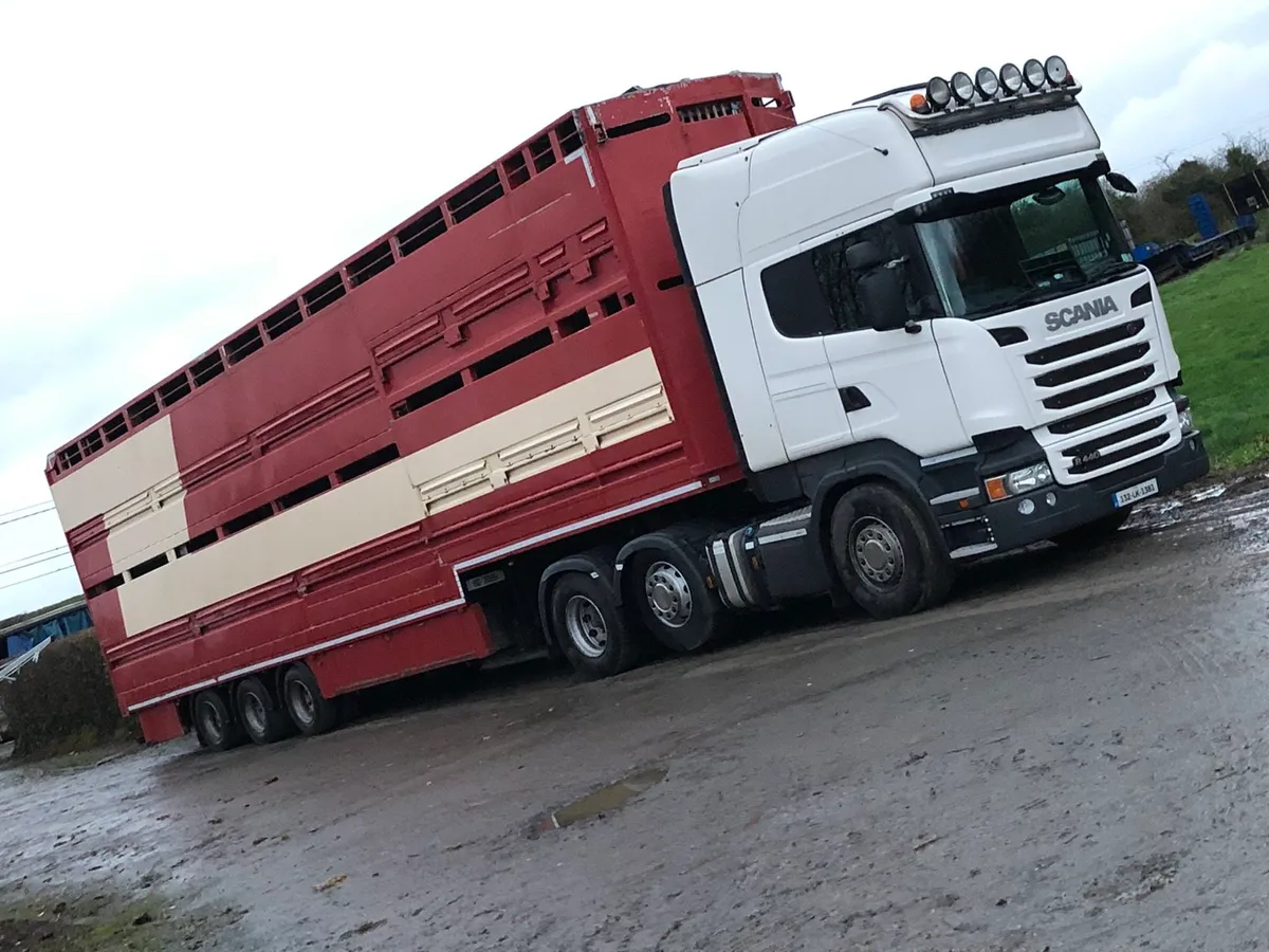 Livestock haulage