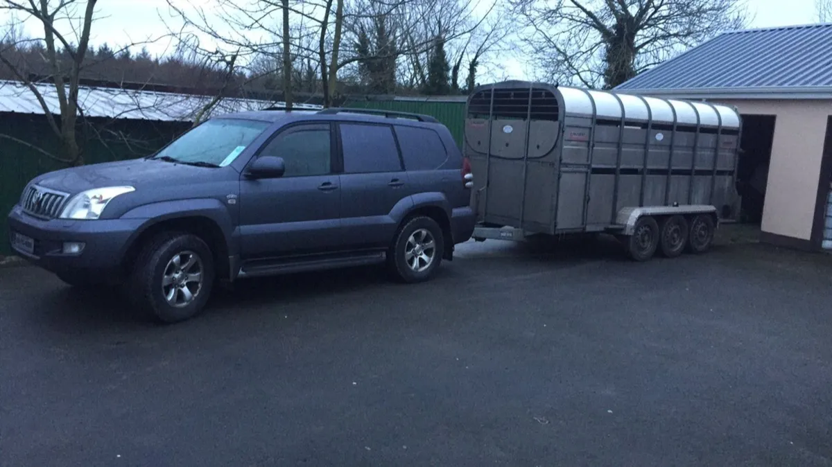 Livestock haulage - Image 2