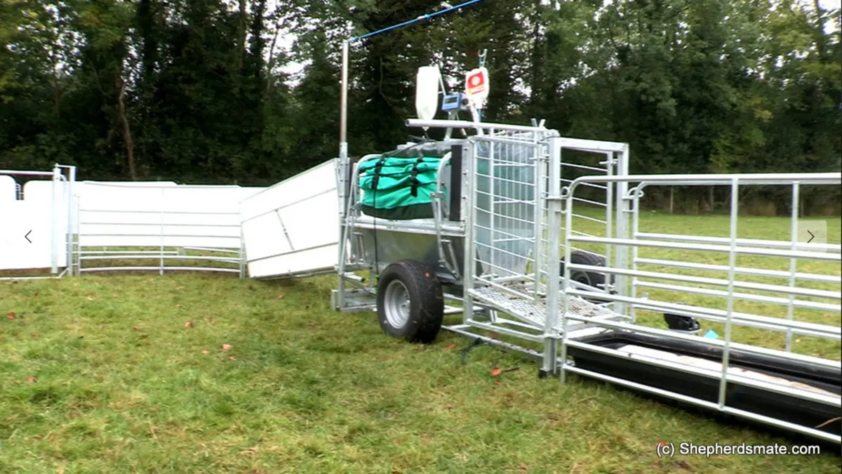 Mobile Sheep Handling Race/equipment/Weighing