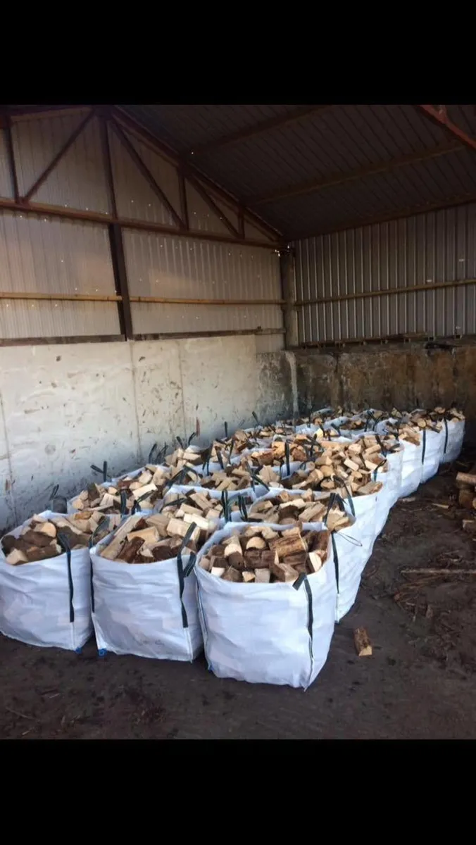Dry Seasoned Firewood - Image 4