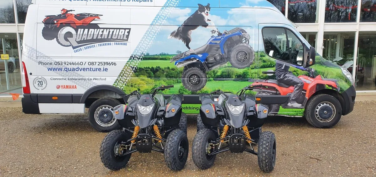 NEW QUADZILLA STINGER 100 - Image 1