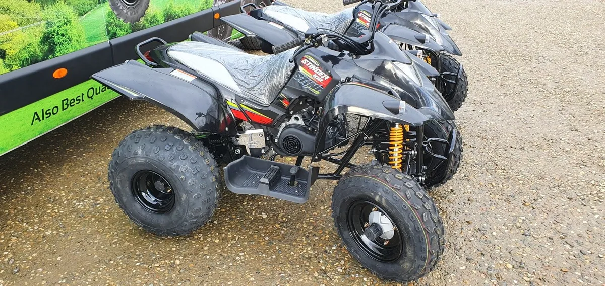NEW QUADZILLA STINGER 100 - Image 2
