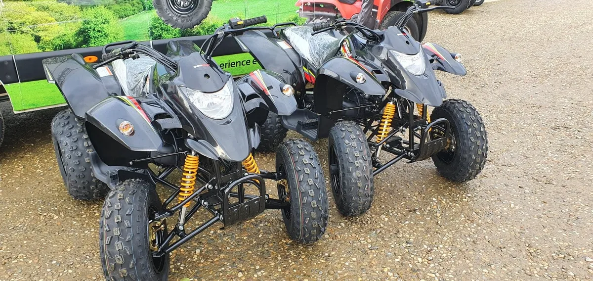 NEW QUADZILLA STINGER 100 - Image 3
